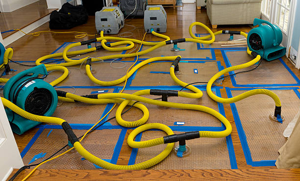 Professional Crawl Space Water Removal technician working in Bloomington, CA